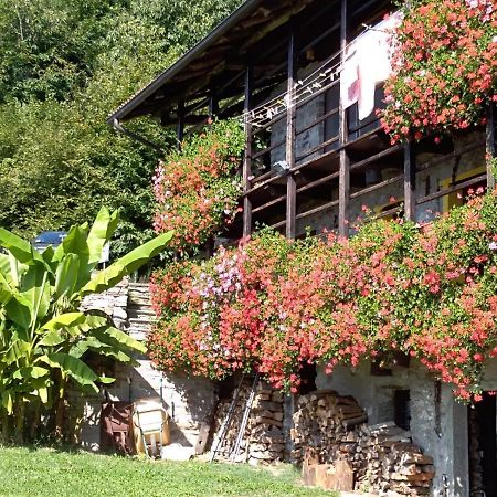 B&B "La Baita Delle Coccinelle" Varallo Bagian luar foto